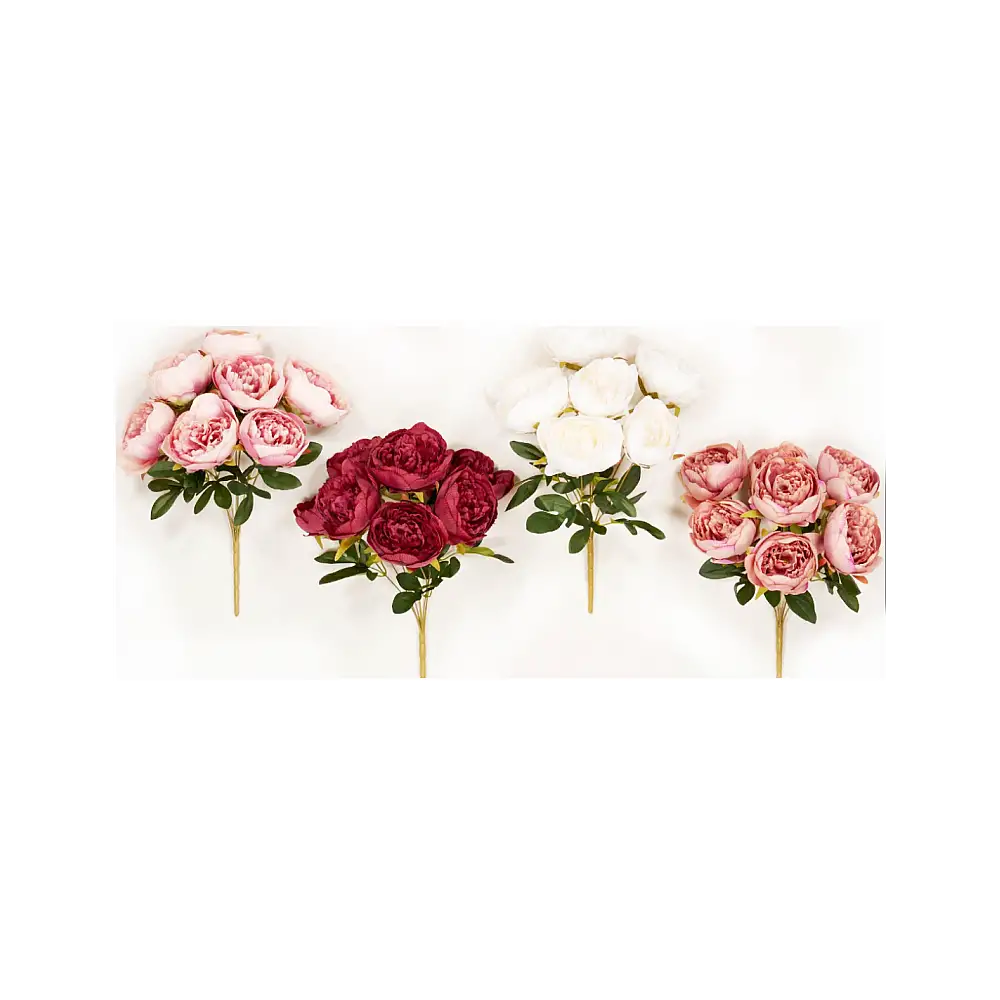 Ρίζα πεόνια 44cm