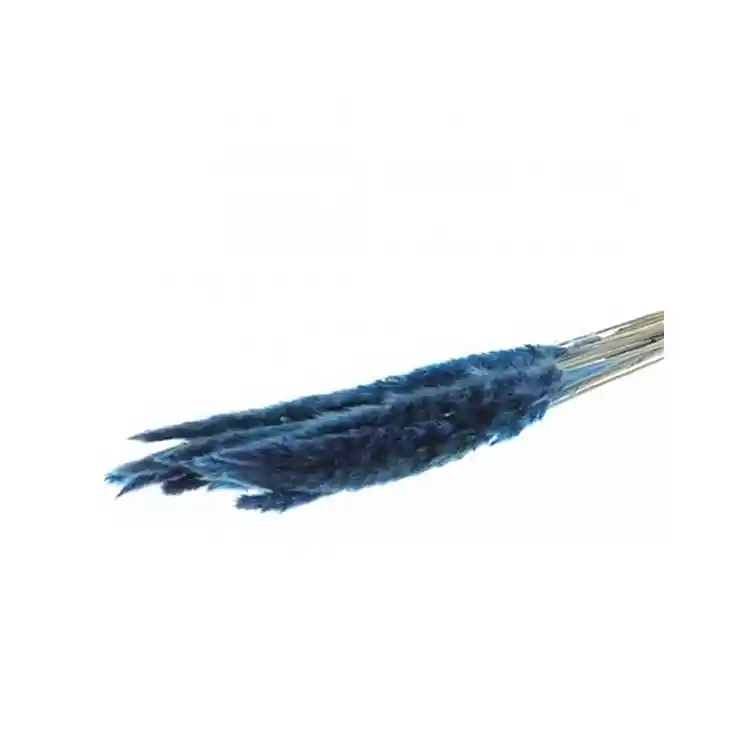 Κλαδιά Pampas 70gr μπλε