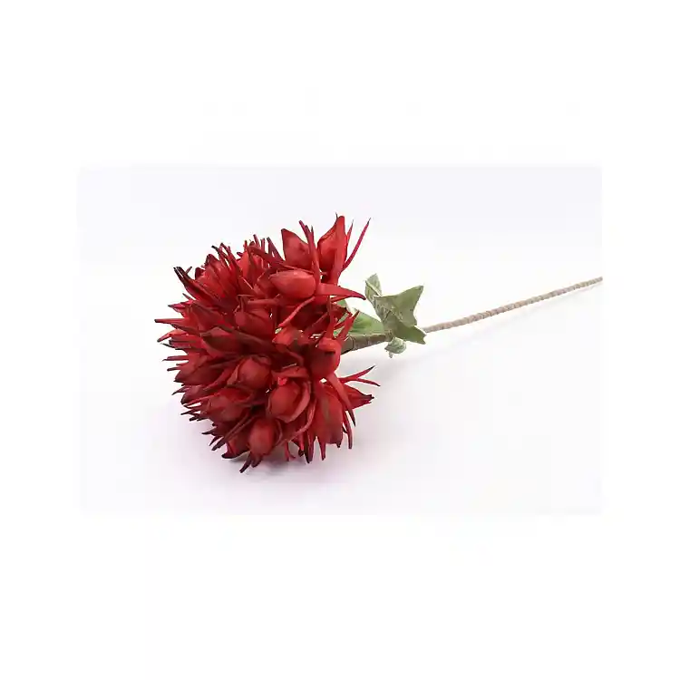 Κλαδί Αγάπανθος κόκκινο Η78cm