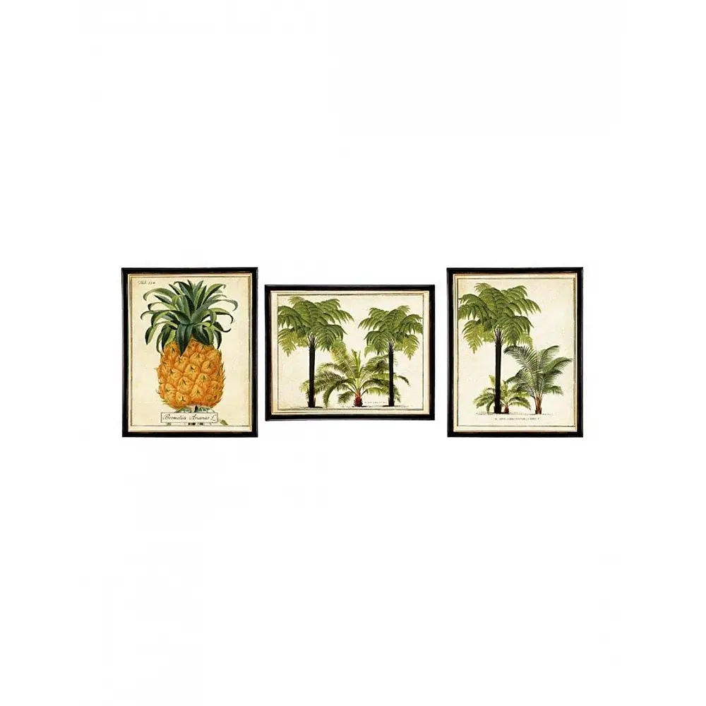 Κάδρο  Tropical pineapple  3σχέδια 20x25 cm