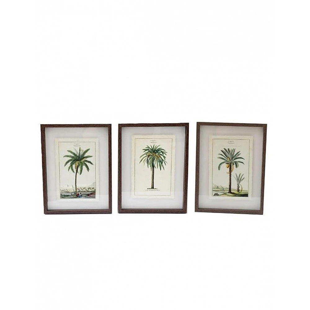 Κάδρο  Palm  3σχέδια 30x40 cm