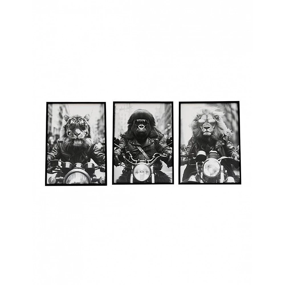 Κάδρο  ANIMAL BIKE  /3σχέδια 20x25cm