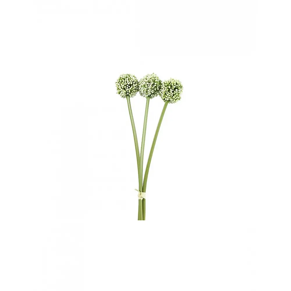 Allium κρεμ  x3 55εκ.