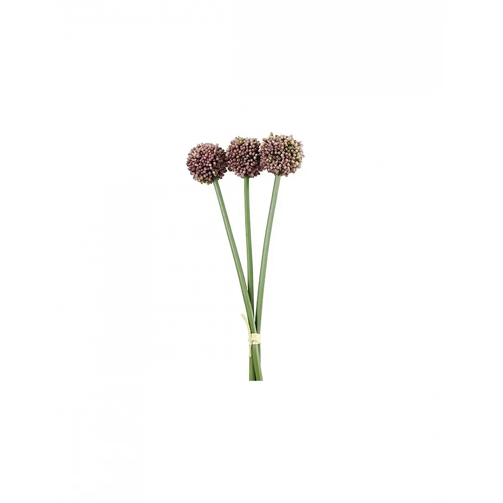 Allium μωβ x3 55εκ.