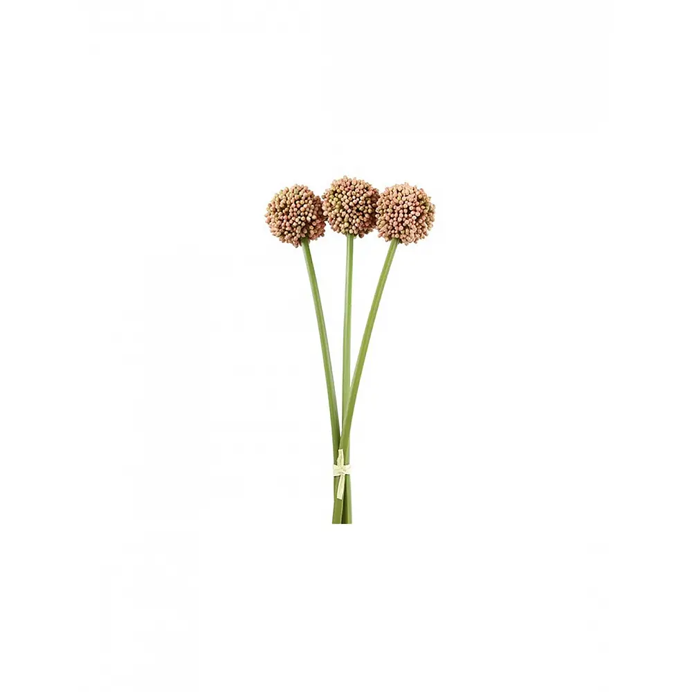 Allium ροζ x3 55εκ.
