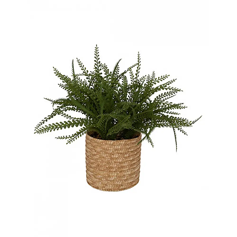 Πρασινάδα σε κασπώ ψάθινο 30x45cm