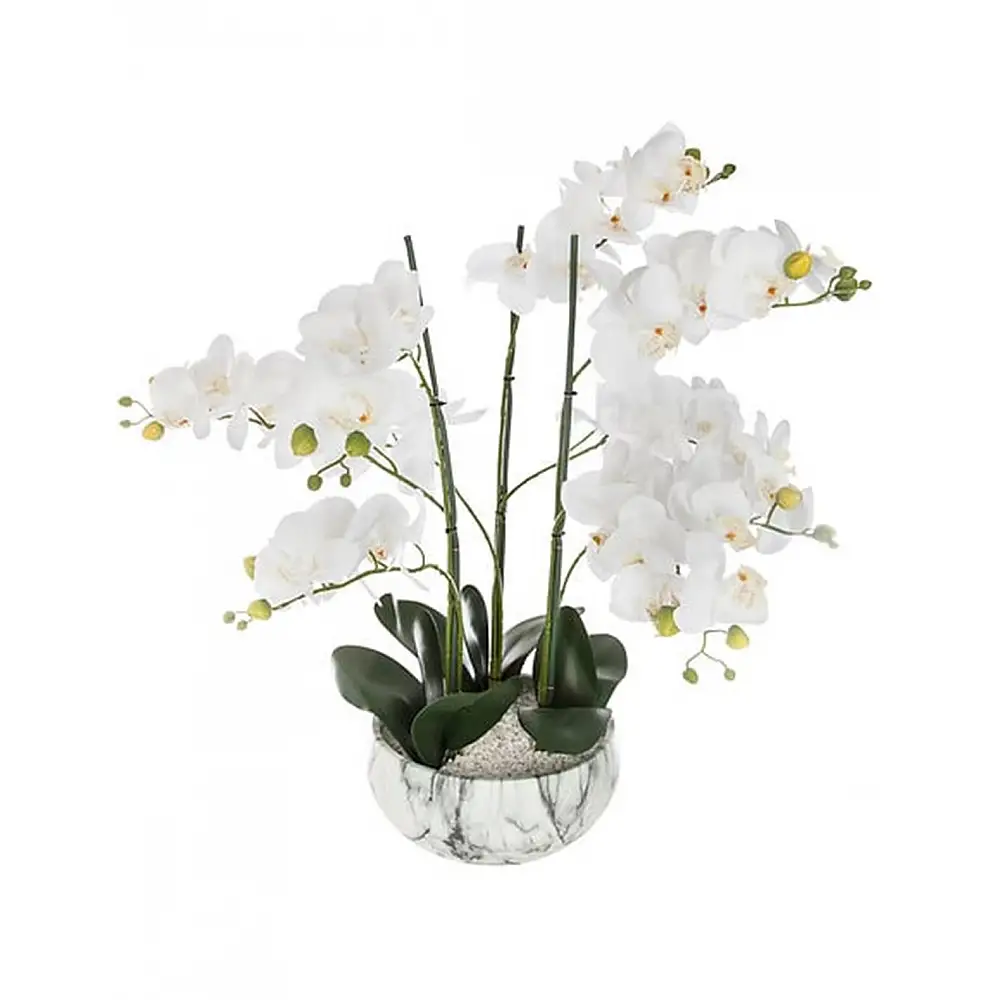 Ορχιδέα λευκή σε κασπώ μάρμαρο Η65cm