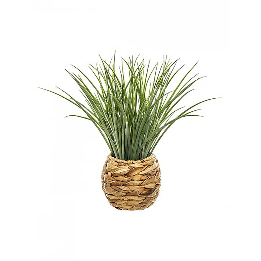 Γρασίδι σε κασπώ 18x46cm