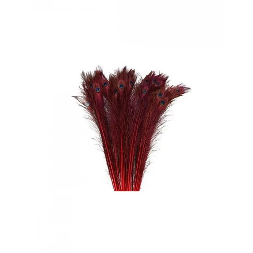 Φτερό παγωνιού κόκκινη  90-100εκ.