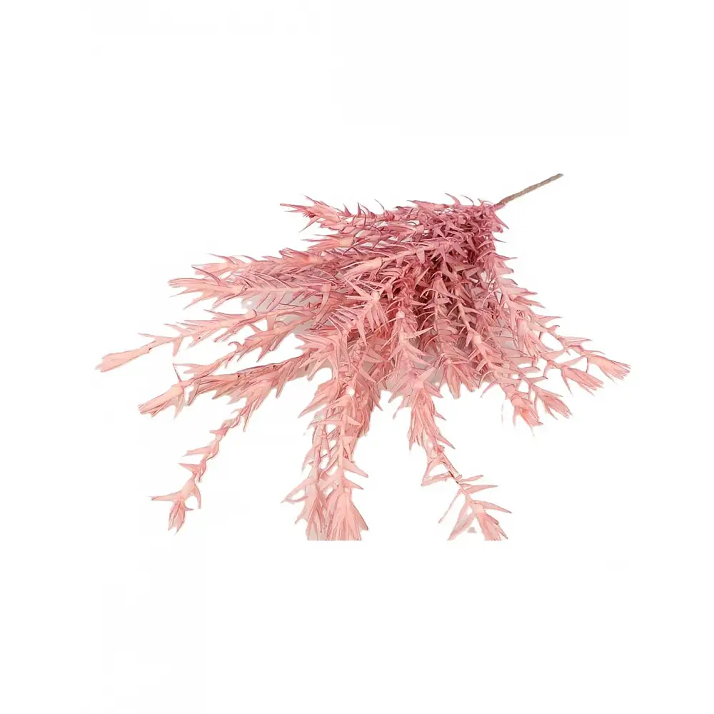 Panora kladi roz 126ek.