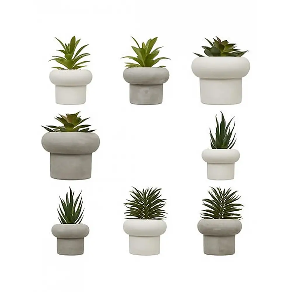 Φυτό σε κεραμικό κασπώ 8σχέδια Η15cm