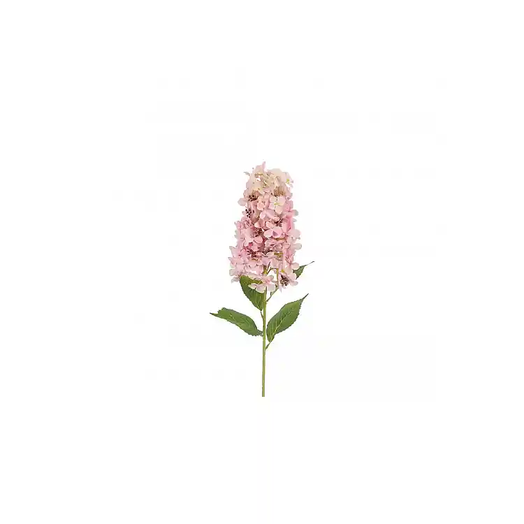 Ορτανσία Paniculata κλαδί ροζ 83εκ.