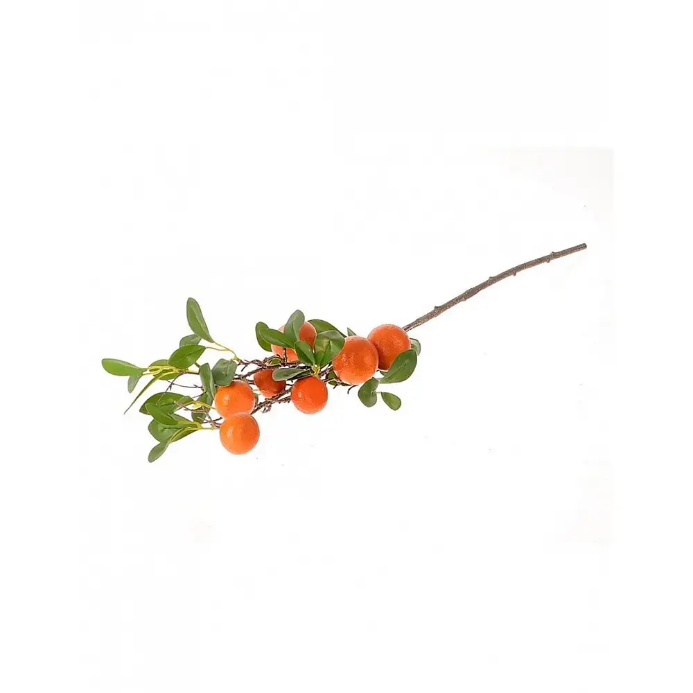 Κλαδί πορτοκαλίαλιάς Η80cm