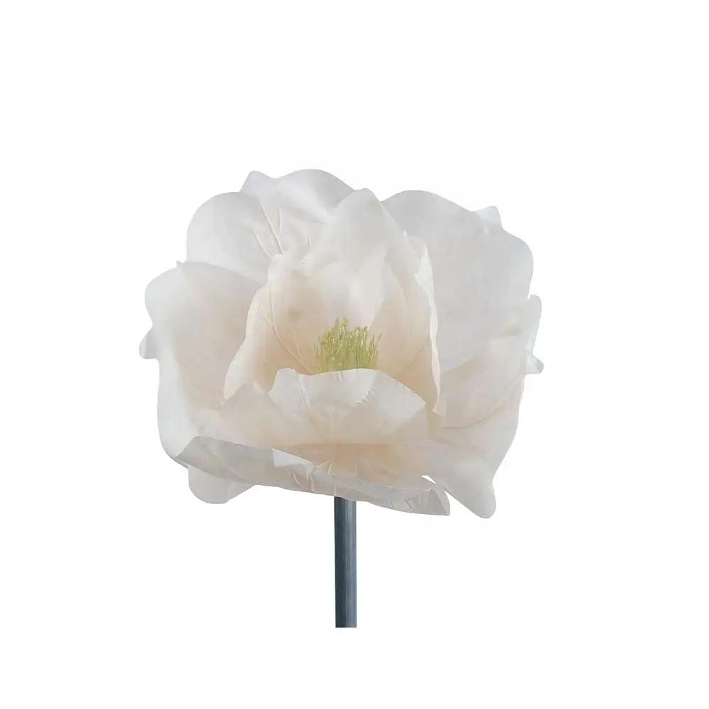 Λουλούδι Μανώλια 50x40cm