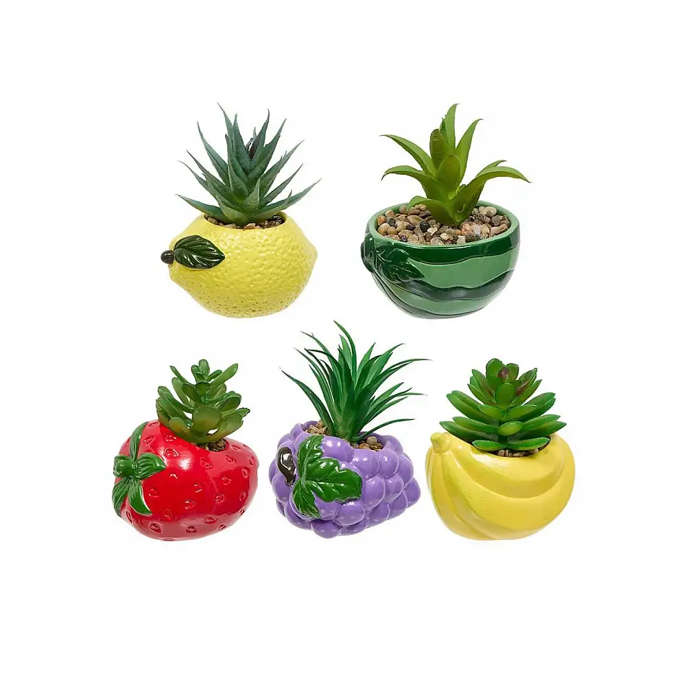 Κασπώ φρούτα με φυτό 11x10x9cm