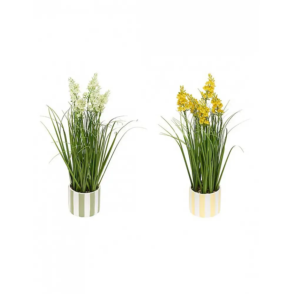 Φυτό κίτρινα/λευκά λούδια σε κασπώ 2χρώμ. 30x47cm