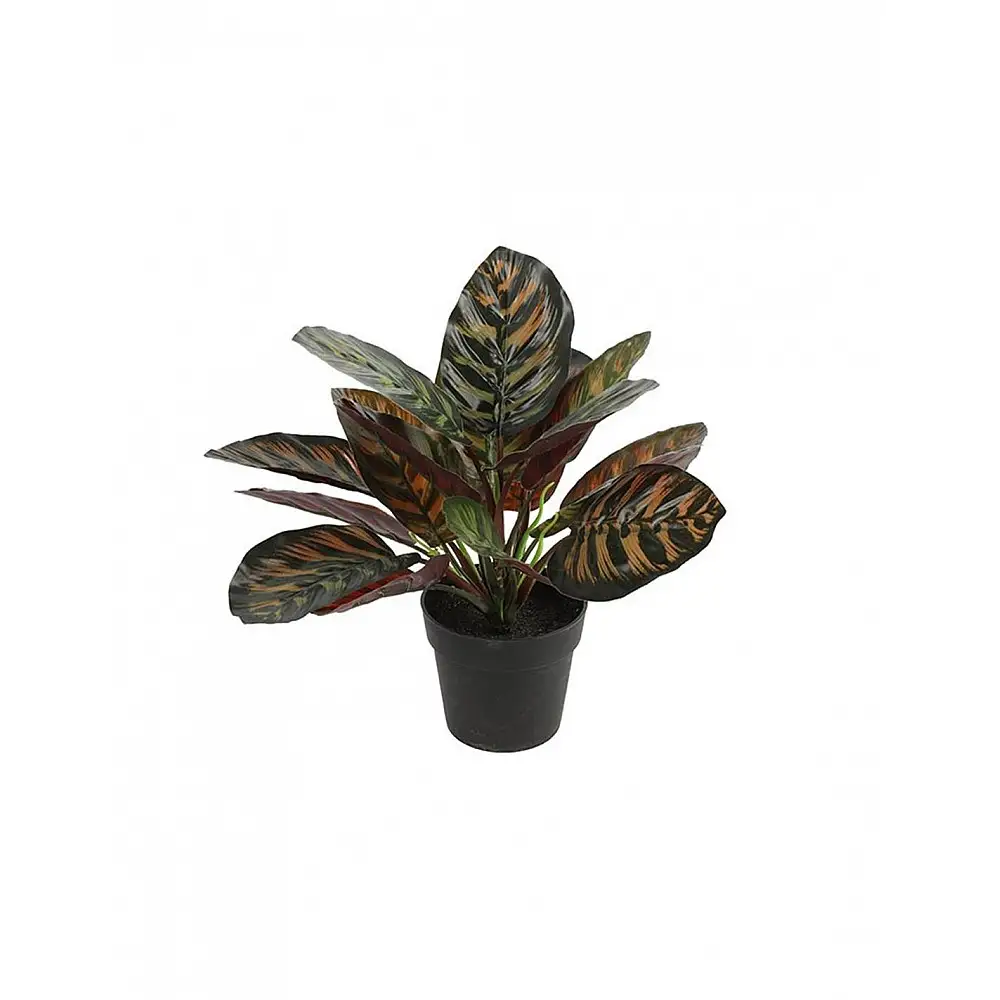 Καλαθέα σε κασπώ 28εκ.