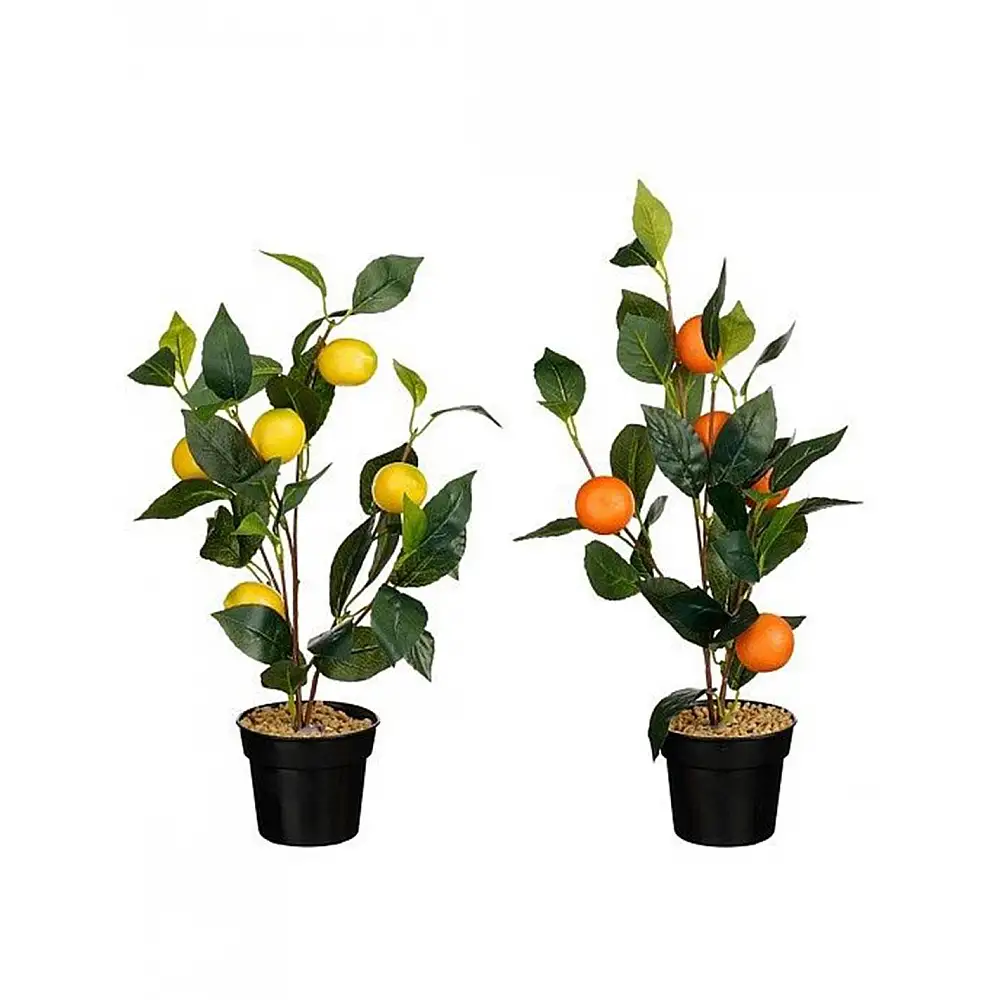 Δέντρο λεμονιά/πορτοκαλίαλιά σε κασπώ Φ18 Η45cm