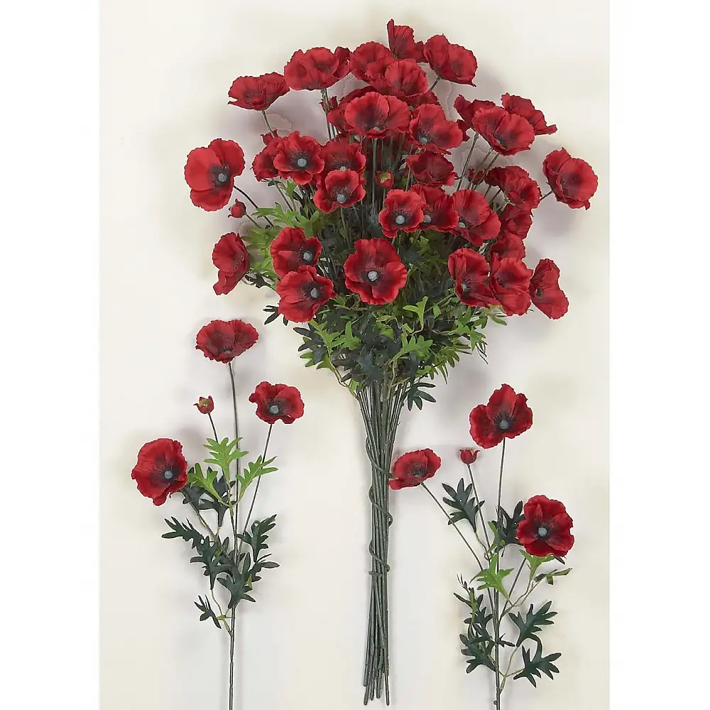 Παπαρούνα κλαδί