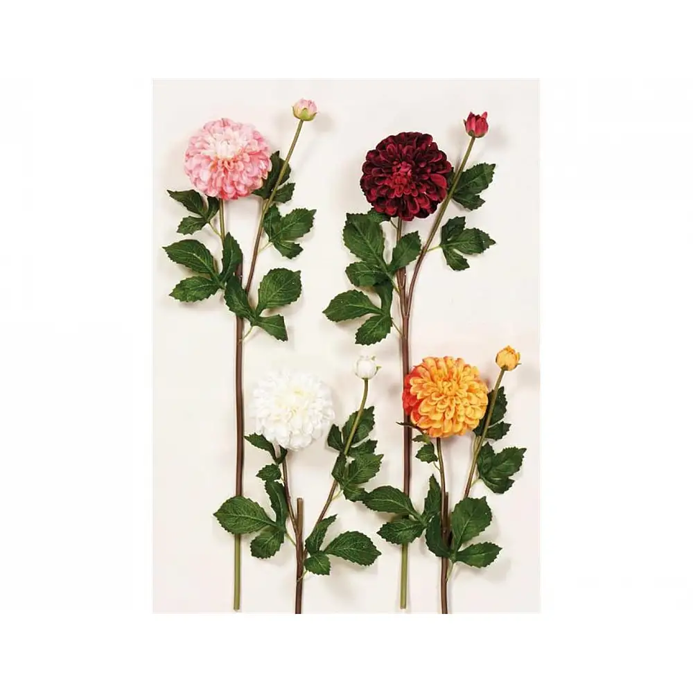 Κλαδί ντάλια