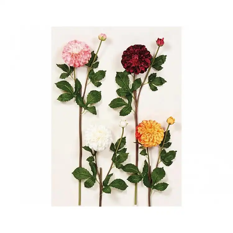 Κλαδί ντάλια
