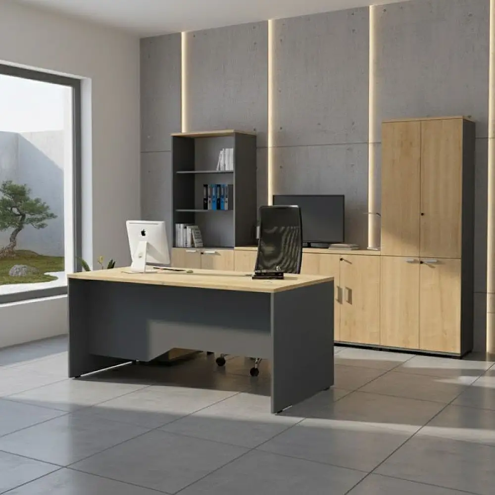 Ντουλάπι γραφείου επαγγελματικό Venturo Megapap χρώμα ανθρακί - φυσικό οξιάς 80x40x80εκ. | GP028-0147,1