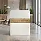 Γραφείο υποδοχής - reception Telmos Megapap με LED χρώμα λευκό - sapphire oak 90x43,6x119,2εκ. | GP042-0405,1