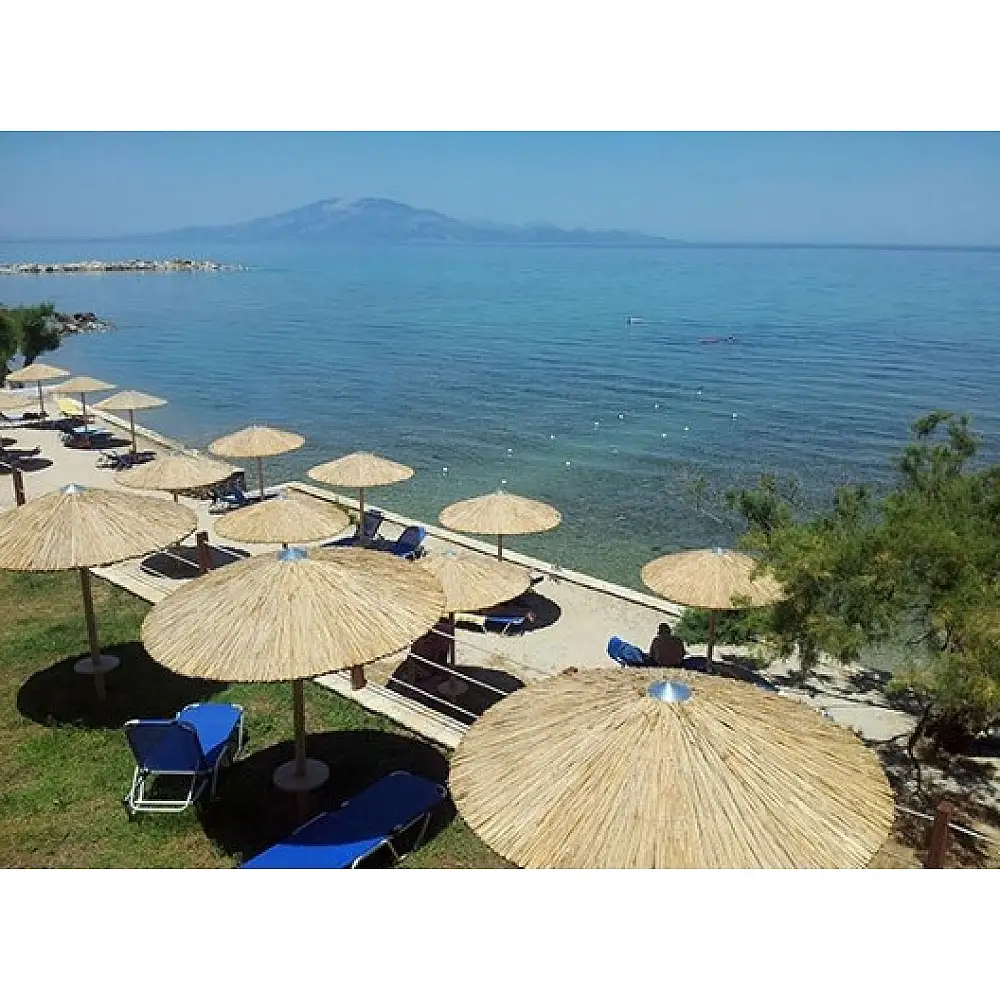 Umbrella Cane Φ215cm*