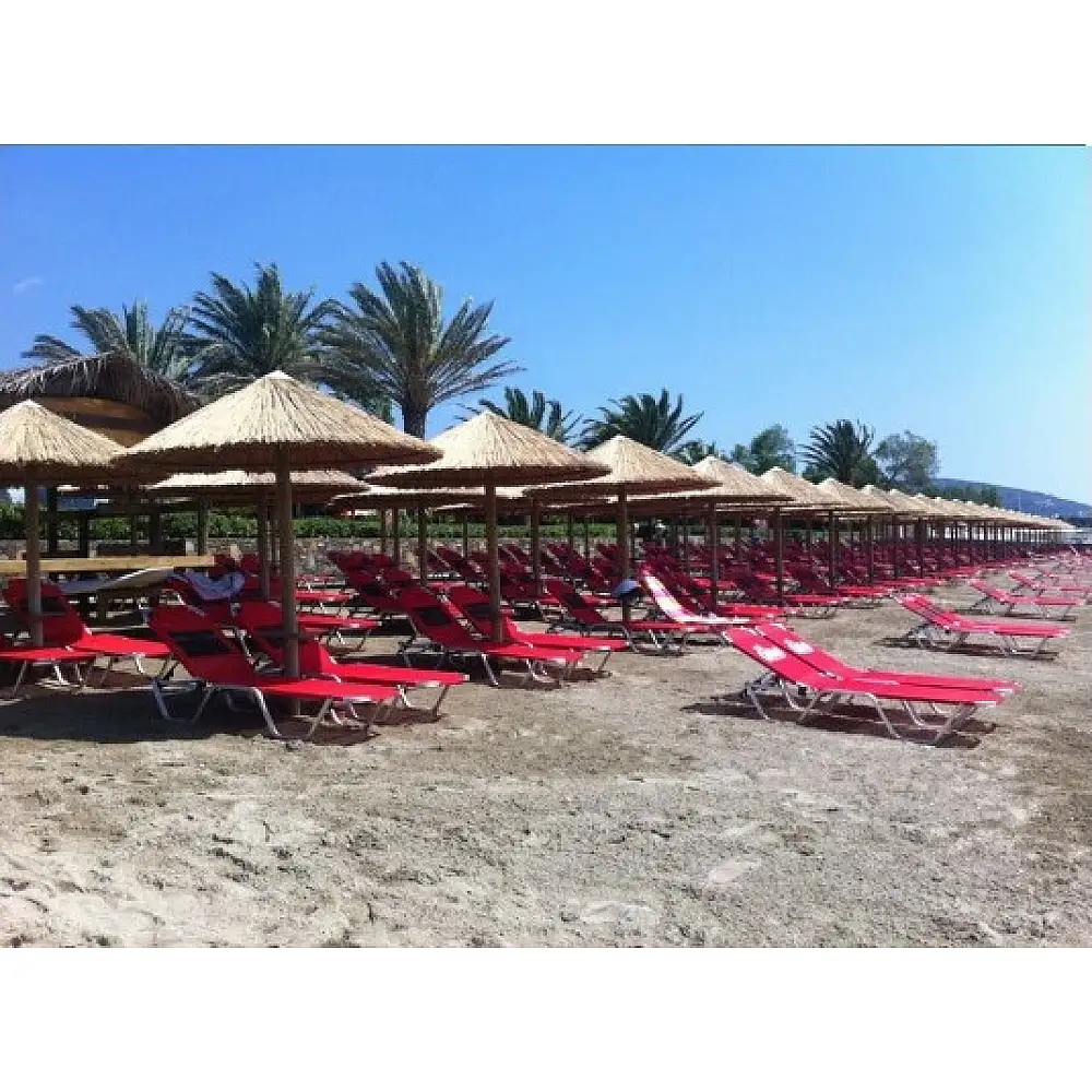 Umbrella Cane Φ215cm*