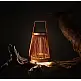 Apollo/L-39,5cm Portable Lantern Orange (33184001)