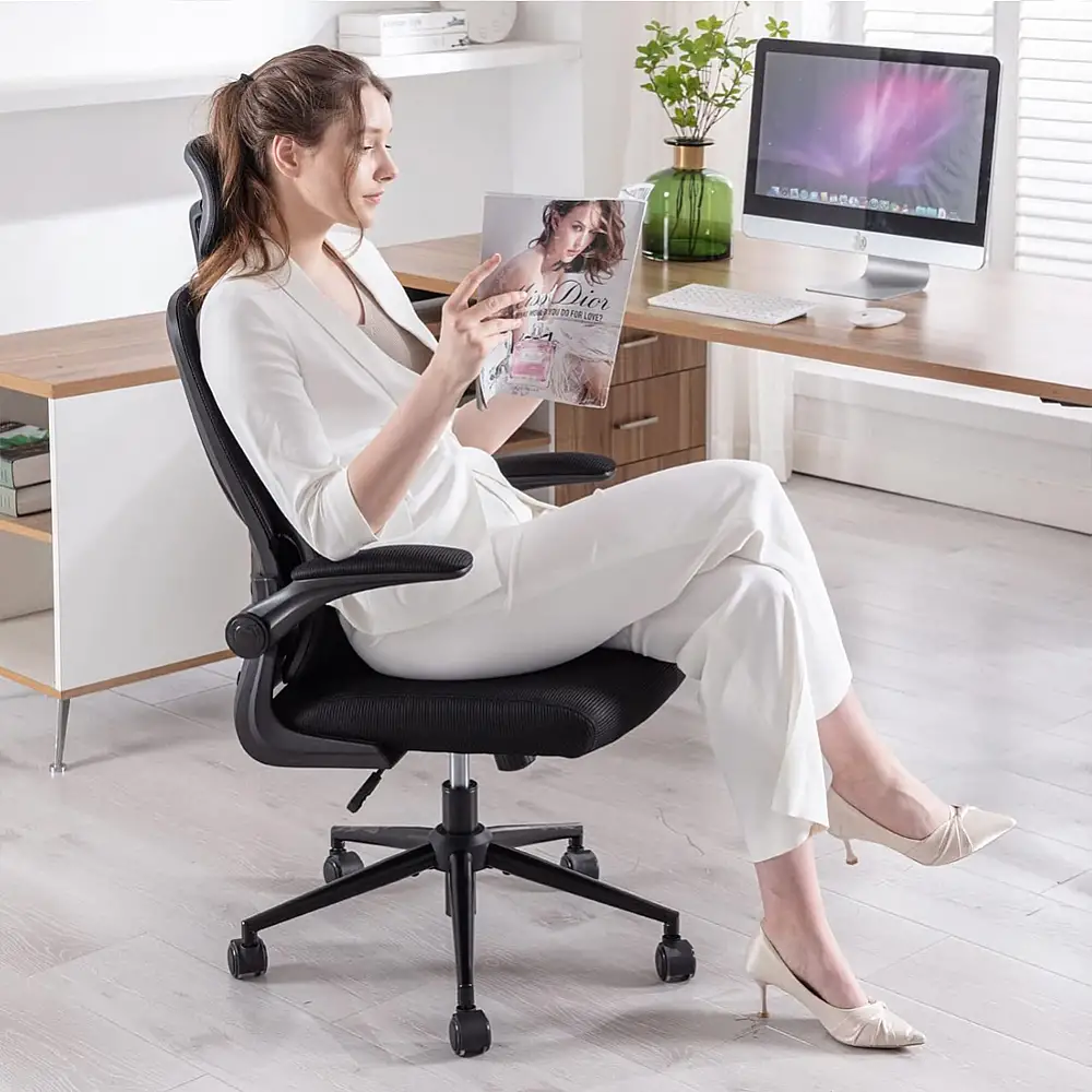 BAKAJI Εργονομική Καρέκλα Γραφείου Μαύρη με Ανάλαφρο Δίχτυ, Οσφυϊκή Υποστήριξη και Προσκέφαλο 02842861