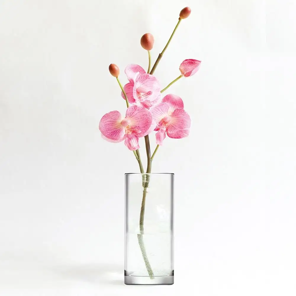 Galileo Διακοσμητικό βάζο για λουλούδια από φυσητό γυαλί ύψους 31 εκ., σχεδιασμός κυλίνδρου Συβίλλα 5910714