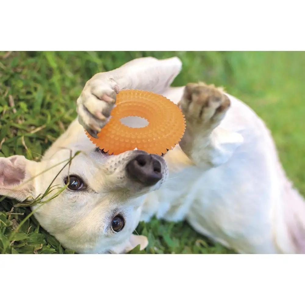 Galileo Λαστιχένιο Παιχνίδι για Κατοικίδια Δαχτυλίδι TPR 12 εκ. Duppid 2194230