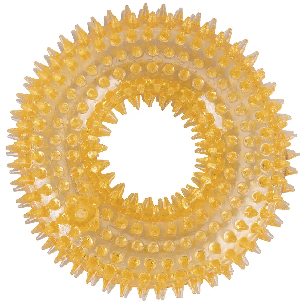 Galileo Λαστιχένιο Παιχνίδι για Κατοικίδια Δαχτυλίδι TPR 12 εκ. Duppid 2194230