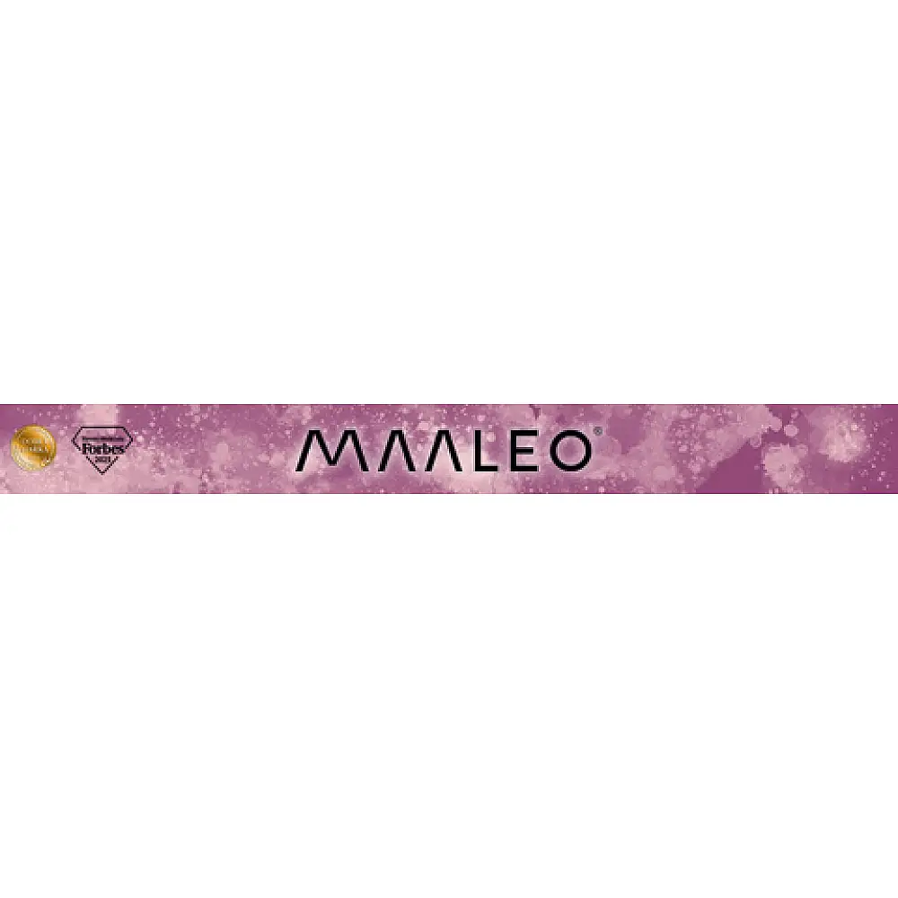 Maaleo Σετ 16 τμχ Ακρυλικοί Μαρκαδόροι , Αδιάβροχοι και Ανθεκτικοί για Ζωγραφική σε Πέτρες 27051