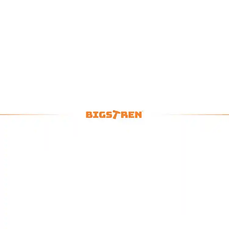 Bigstren Δυναμόκλειδο 1/4" 2-26 Nm Δεξιόστροφο/Αριστερόστροφο με Πιστοποιητικό Διακρίβωσης 27087