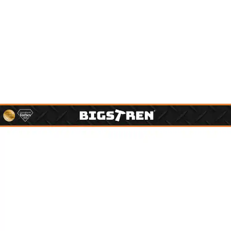 Bigstren Δυναμόκλειδο 1/4" 2-26 Nm Δεξιόστροφο/Αριστερόστροφο με Πιστοποιητικό Διακρίβωσης 27087