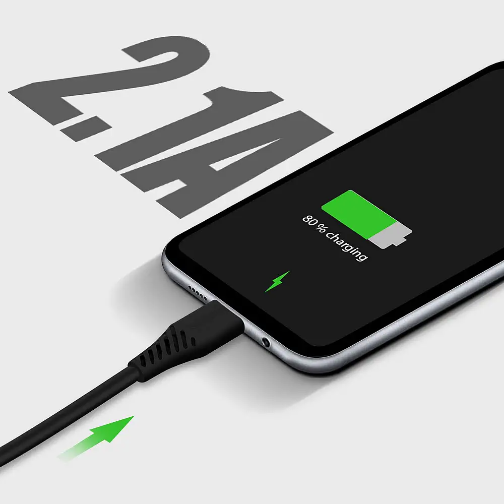 SWISSTEN Φορτιστής Ταξιδίου με Έξυπνο IC και 2x USB 2,1A Power + Καλώδιο Δεδομένων USB / Type C 1,2m Μαύρο 8595217464414