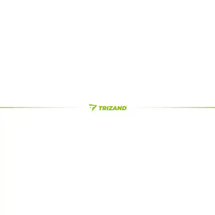 TRIZAND Ηλεκτρική Αντλία SUP 12V με 6 Μύτες για Σανίδες SUP, Καγιάκ και Φουσκωτά 25262