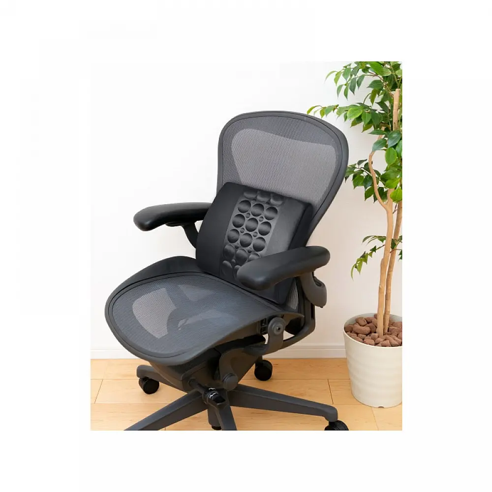 Εργονομικό Μαξιλάρι Πλάτης με Memory Foam Lifenaxx LX-022 Εργονομικό Μαξιλάρι Πλάτης με Memory Foam Lifenaxx LX-022