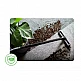 Βιομηχανική Ηλεκτρική Σκούπα 20 Lt 1200 W Humberg HM-400 Βιομηχανική Ηλεκτρική Σκούπα 20 Lt 1200 W Humberg HM-400