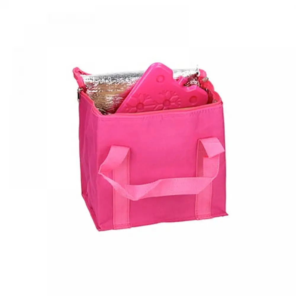 Σετ Ισοθερμική Τσάντα Χειρός 7 Lt με 1 Παγοκύστη Χρώματος Φούξια Bakaji 01824938 01824938-Fuchsia