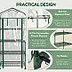 Outsunny Vertical Plant Θερμοκήπιο με 4 Ράφια Ατσάλι και Λευκό PVC, 69x50x165cm 845-228V04TP