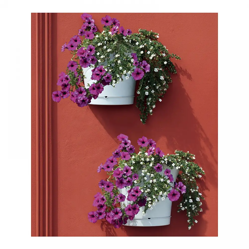 Σετ Πλαστικές Ημικυκλικές Κρεμαστές Γλάστρες 5 Lt 34.5 x 19 x 30 cm 4 τμχ Λευκό Tulipano Bama 30516