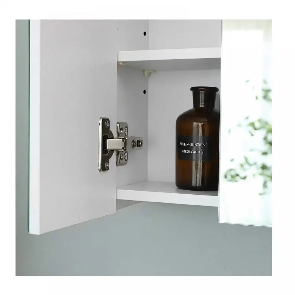 Καθρέπτης Μπάνιου με Ντουλάπι 60 x 15 x 55 cm VASAGLE BBK22WT