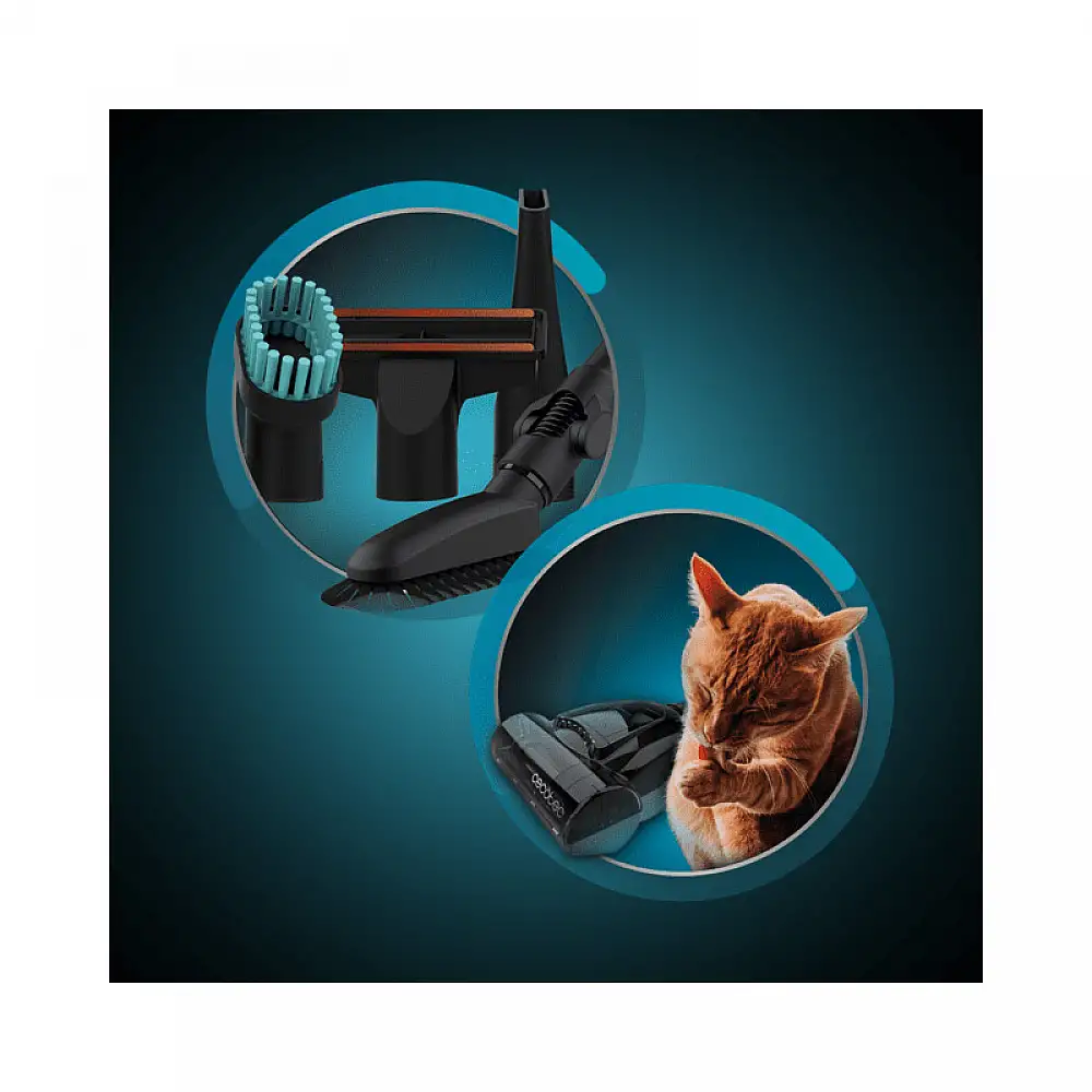 Ηλεκτρική Σκούπα Χωρίς Σακούλα 4 Lt 800 W Conga RockStar Multicyclonic XL Animal Plus Cecotec CEC-08586