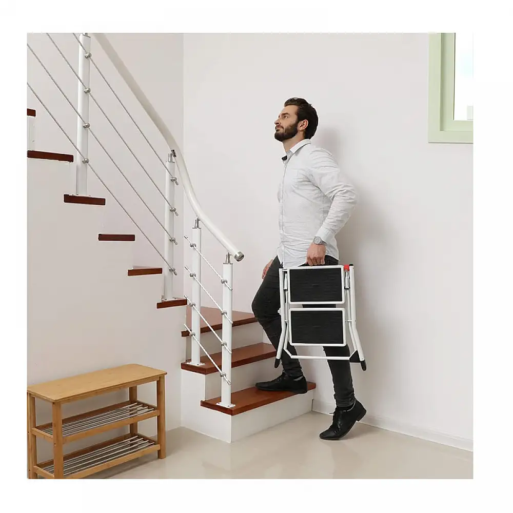 Πτυσσόμενη Σκάλα από Ατσάλι 2 Σκαλιών Χρώματος Λευκό Songmics GSL02WT
