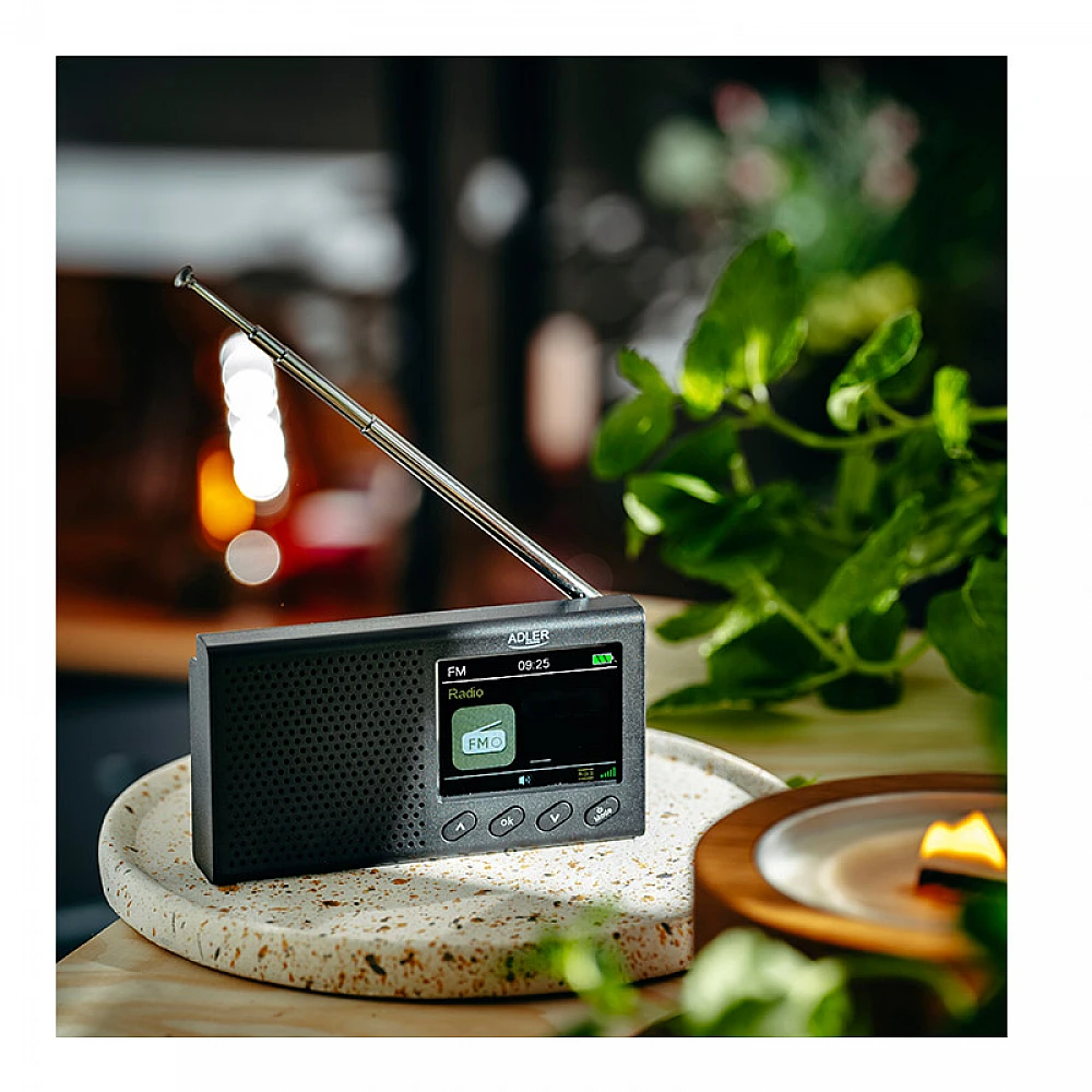 Φορητό Ραδιόφωνο με Bluetooth και Έγχρωμη Οθόνη LCD Adler AD-1198 Φορητό Ραδιόφωνο με Bluetooth και Έγχρωμη Οθόνη LCD Adler AD-1198