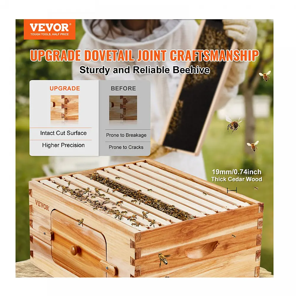 Ξύλινος Όροφος Κυψέλης με 10 Πλαίσια 503 x 414 x 245 mm VEVOR CTFXSMSHX1109SC61V0 Ξύλινος Όροφος Κυψέλης με 10 Πλαίσια 503 x 414 x 245 mm VEVOR CTFXSMSHX1109SC61V0