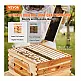 Ξύλινος Όροφος Κυψέλης με 10 Πλαίσια 503 x 414 x 245 mm VEVOR CTFXSMSHX1109SC61V0 Ξύλινος Όροφος Κυψέλης με 10 Πλαίσια 503 x 414 x 245 mm VEVOR CTFXSMSHX1109SC61V0